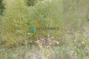 Działka na sprzedaż 910m2 kartuski Przodkowo Załęże Zielona Droga - zdjęcie 4