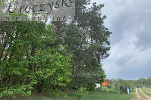 Działka na sprzedaż 1176m2 płoński Nowe Miasto Henrykowo - zdjęcie 2