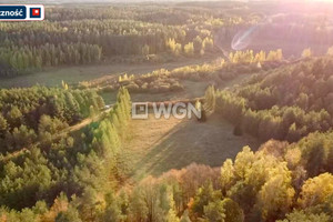 Działka na sprzedaż 3009m2 węgorzewski Pozezdrze Kuty - zdjęcie 1