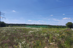 Działka na sprzedaż pruszkowski Nadarzyn Wolica - zdjęcie 2