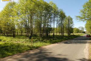 Działka na sprzedaż 3004m2 goleniowski Przybiernów Łoźnica - zdjęcie 1