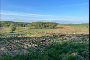 Działka na sprzedaż zgorzelecki Zgorzelec Białogórze - zdjęcie 1