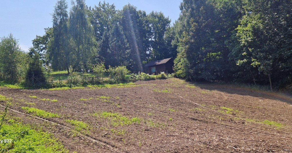Ruptawa. Pięknie położona działka budowlana przy samym lesie