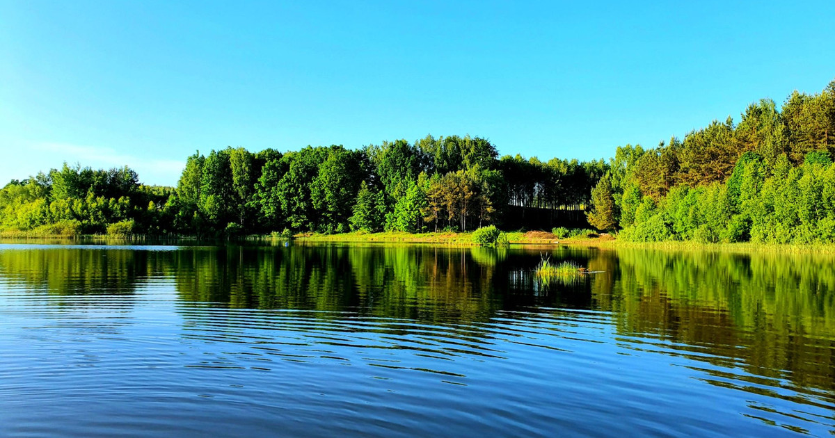 Jezioro - zostań właścicielem akwenu wodnego na Kaszubach