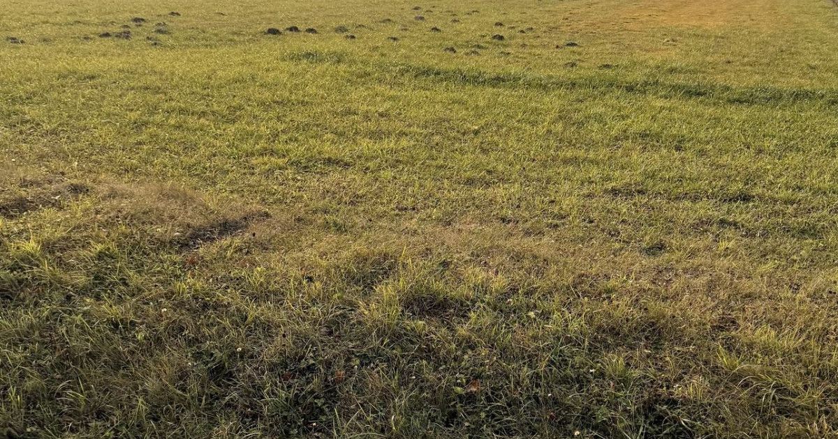 Działka rolna i leśna