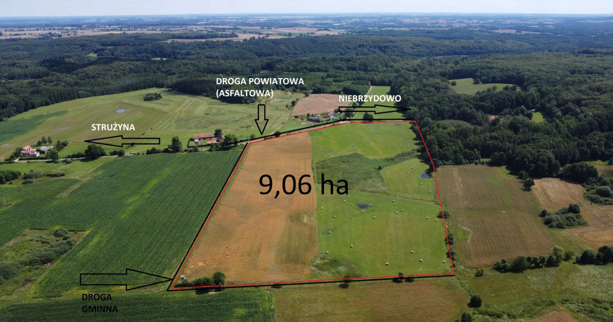 Działka rolno-budowlana o powierzchni 90600 m2 (9,06 ha) Strużyna