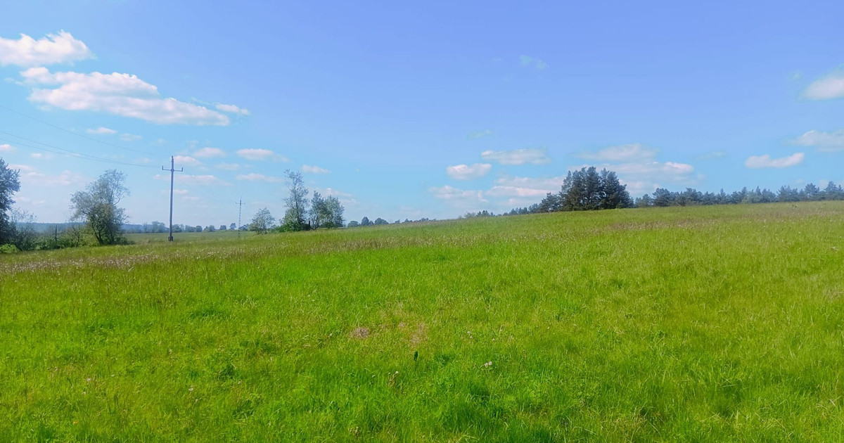 Sprzedam działkę rolną w Bieszczadach 16,8 ha Smolnik gm. Komańcza
