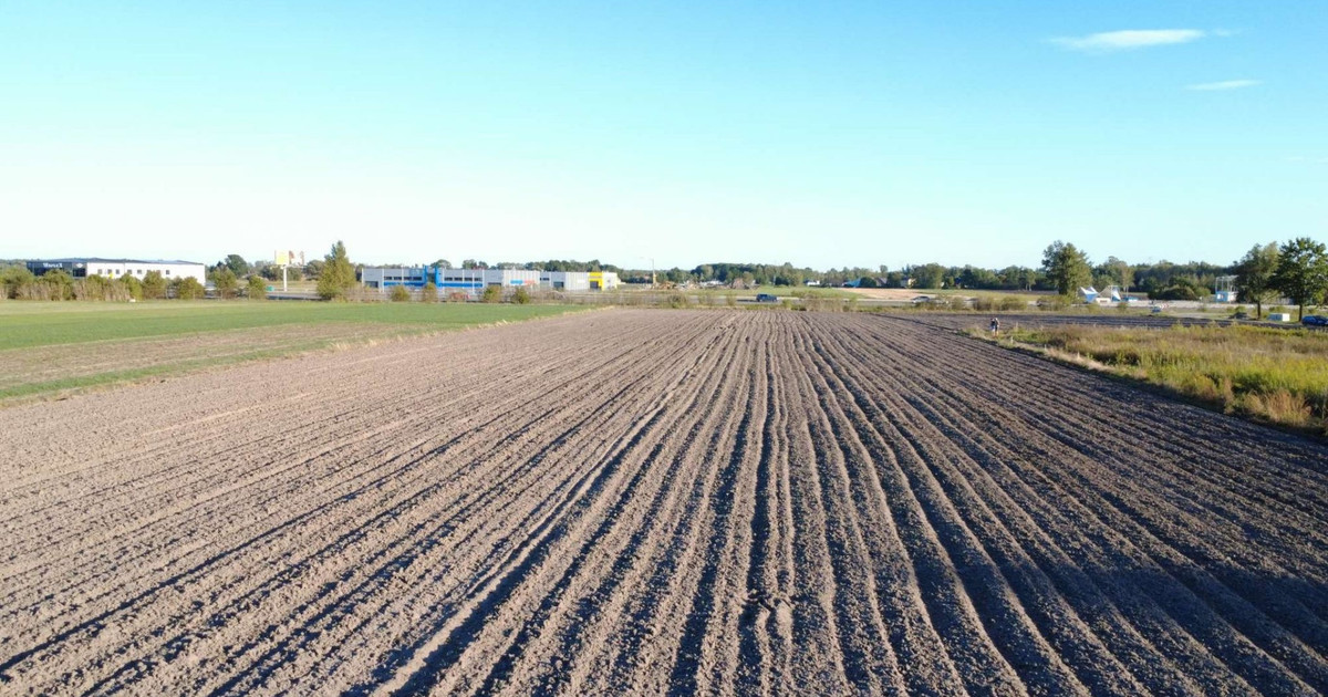 Działka inwestycyjna na sprzedaż 1,68 ha Stary Dybów 260/15