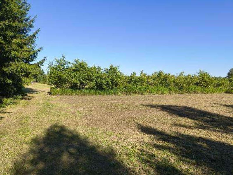 Działka budowlana 3094 m² – Borzęcin Duży, ul. Relaksowa, otulina Kampinosu