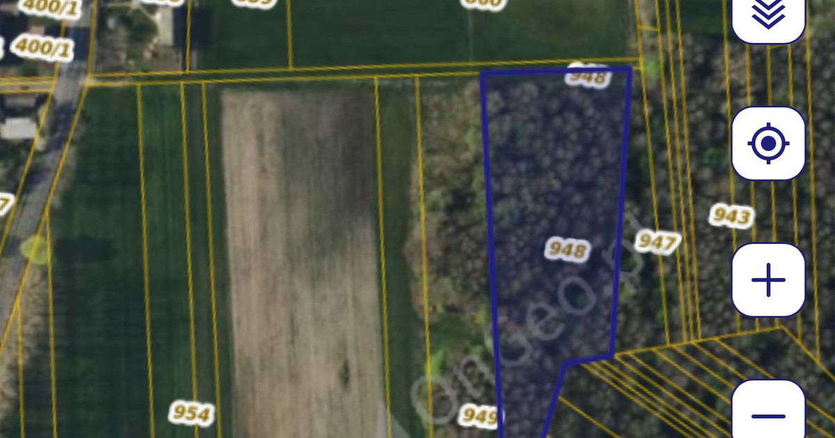 Działka rolno-leśna Pszczonów, gmina Maków