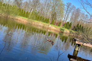 Dom na sprzedaż 3200m2 bełchatowski Drużbice Brzezie - zdjęcie 1