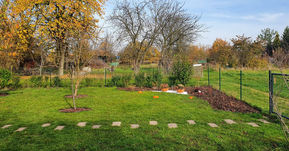 Działka rekreacyjne ROD Cynia 300m2