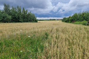 Działka na sprzedaż lubelski Jabłonna Jabłonna Pierwsza - zdjęcie 1