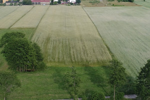 Działka na sprzedaż zgierski Parzęczew Mikołajew - zdjęcie 1