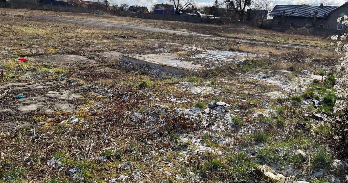 Do wynajęcia działka na skład, magazyn, 1ha