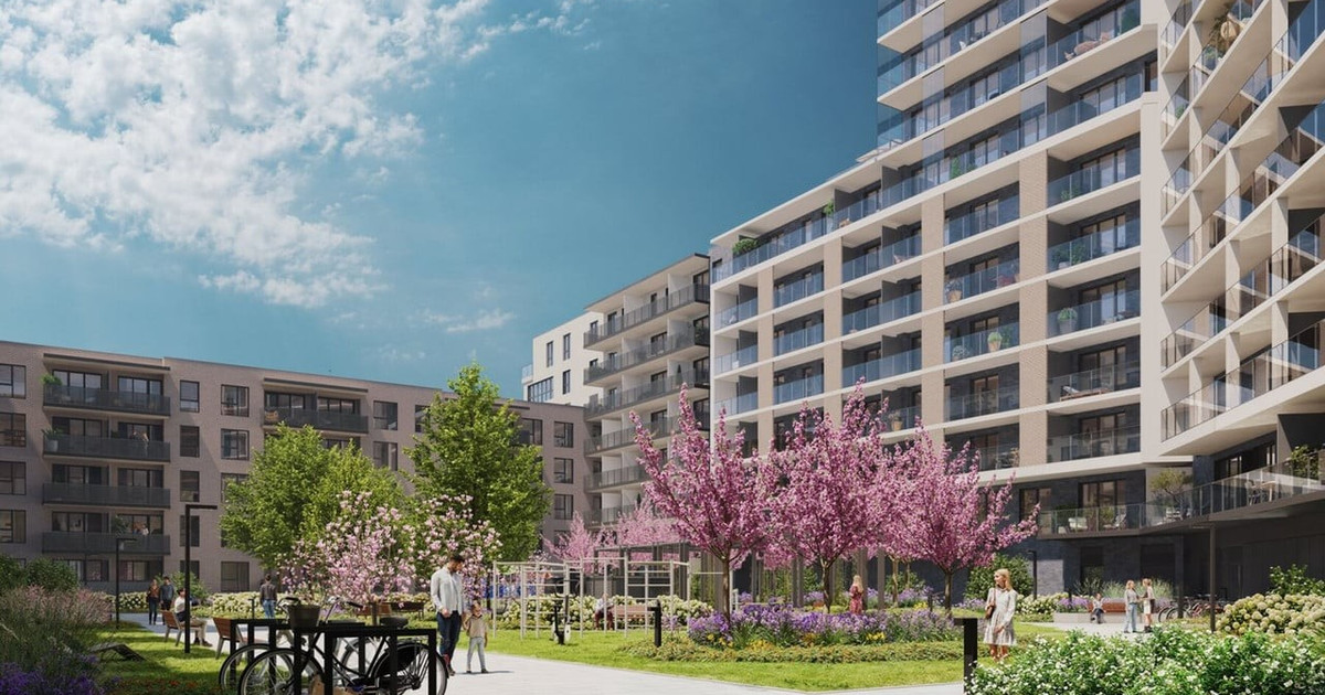 Mieszkanie – Stare Miasto - Widok 2