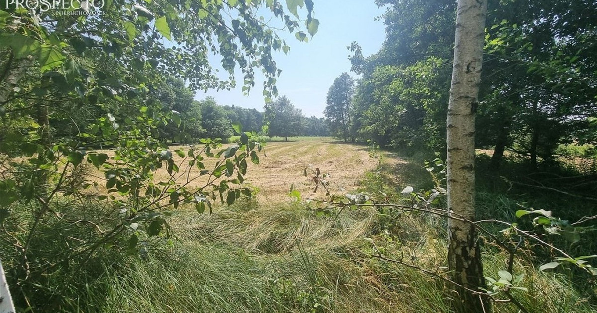 Działka na sprzedaż - Widok 2