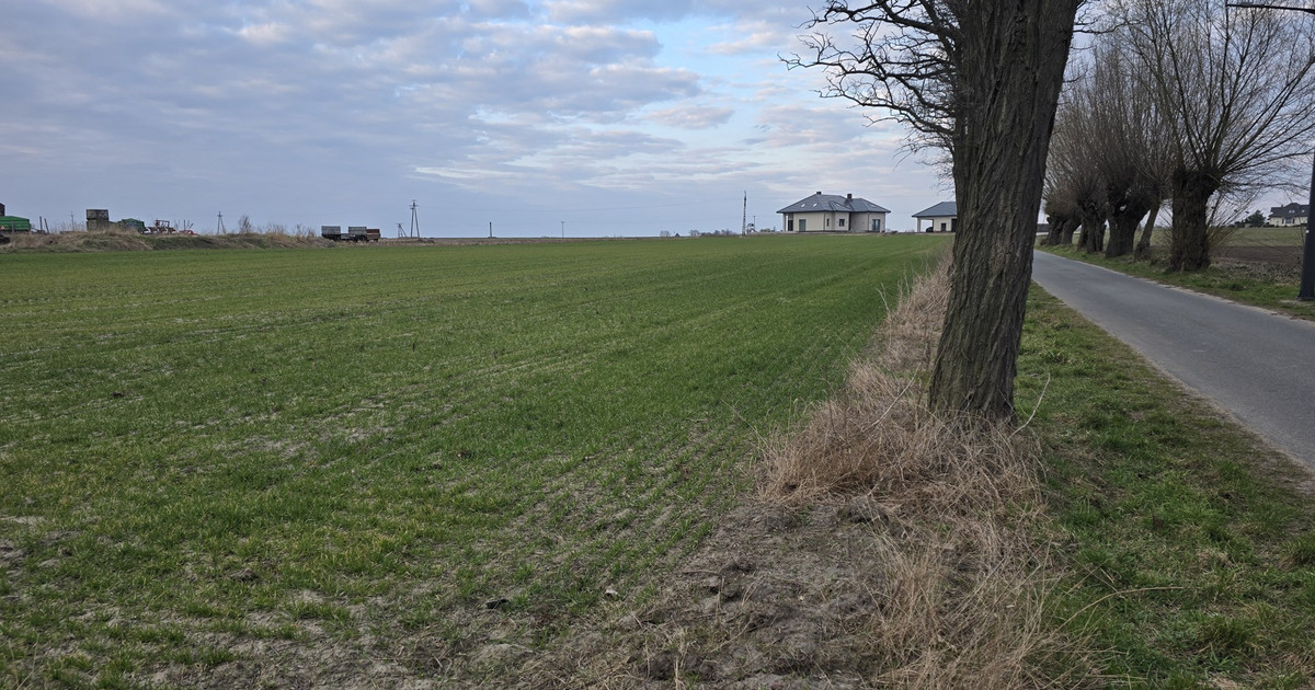 Działka na sprzedaż - Widok 2