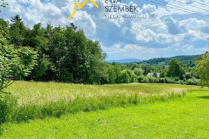 Działka na sprzedaż, 4020 m², Limanowa Młynne
