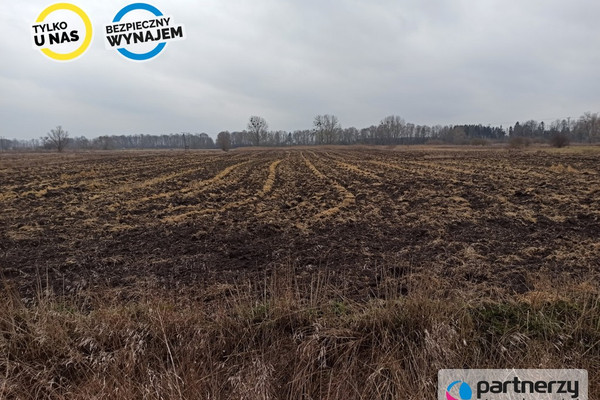 Teren, 40500 m²