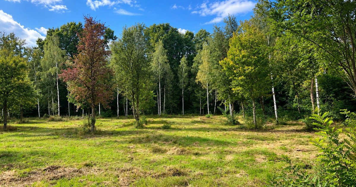 Działka na sprzedaż - Widok 2