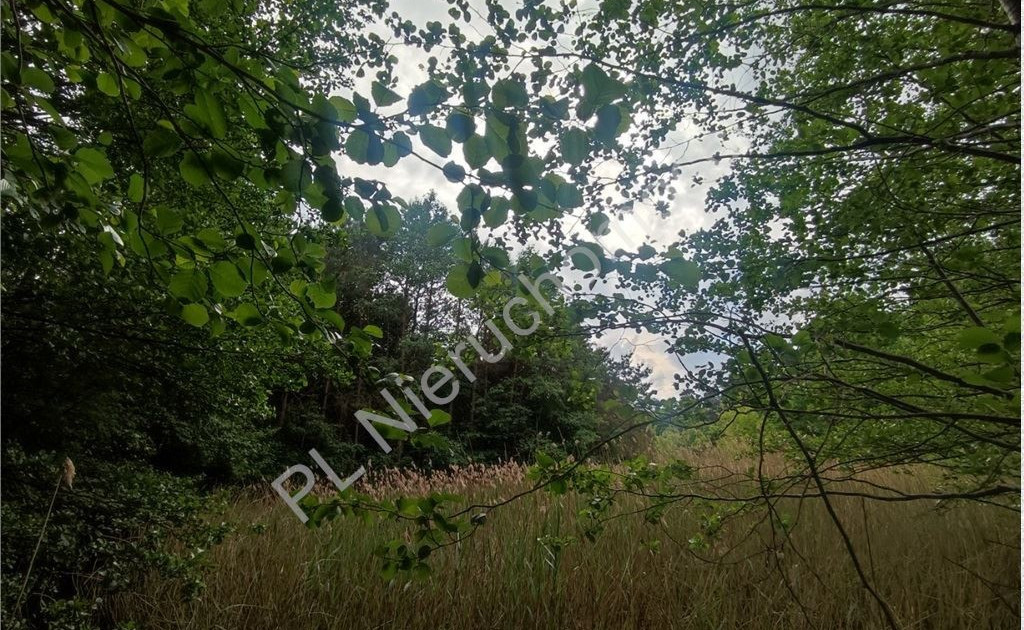 Działka na sprzedaż - Widok 2