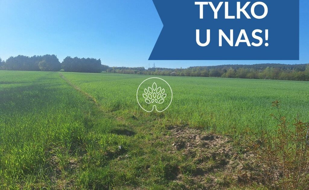 Działka na sprzedaż - Widok 2