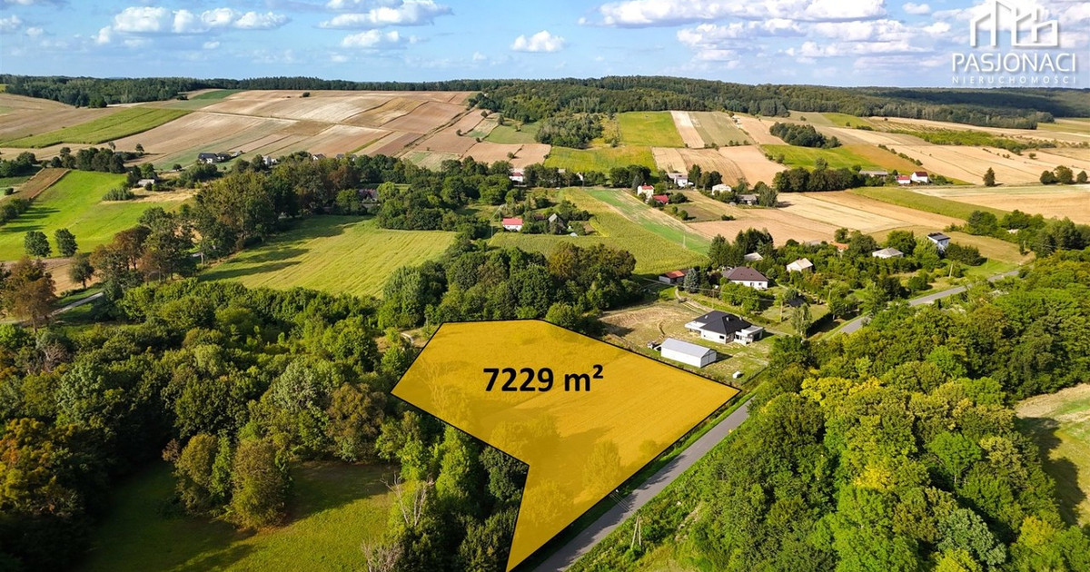 Działka na sprzedaż - Widok 2