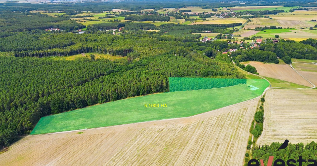 Działka na sprzedaż - Widok 2
