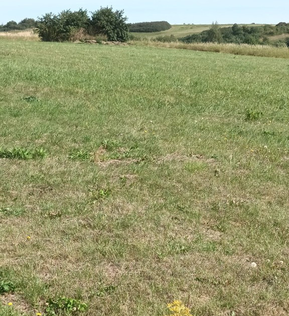 Działka na sprzedaż - Widok 2