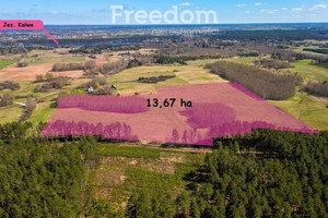 Duża działka 13,67 ha w malowniczej miejscowości 136 700 m² 950 000 zł Michałki, Pasym, szczycieński, warmińsko-mazurskie