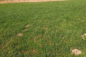 Działka budowlana z WZ 19,39 ara Rzeszów boczna Dębickiej