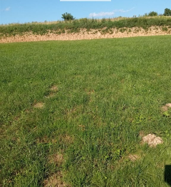 Działka na sprzedaż - Widok 2