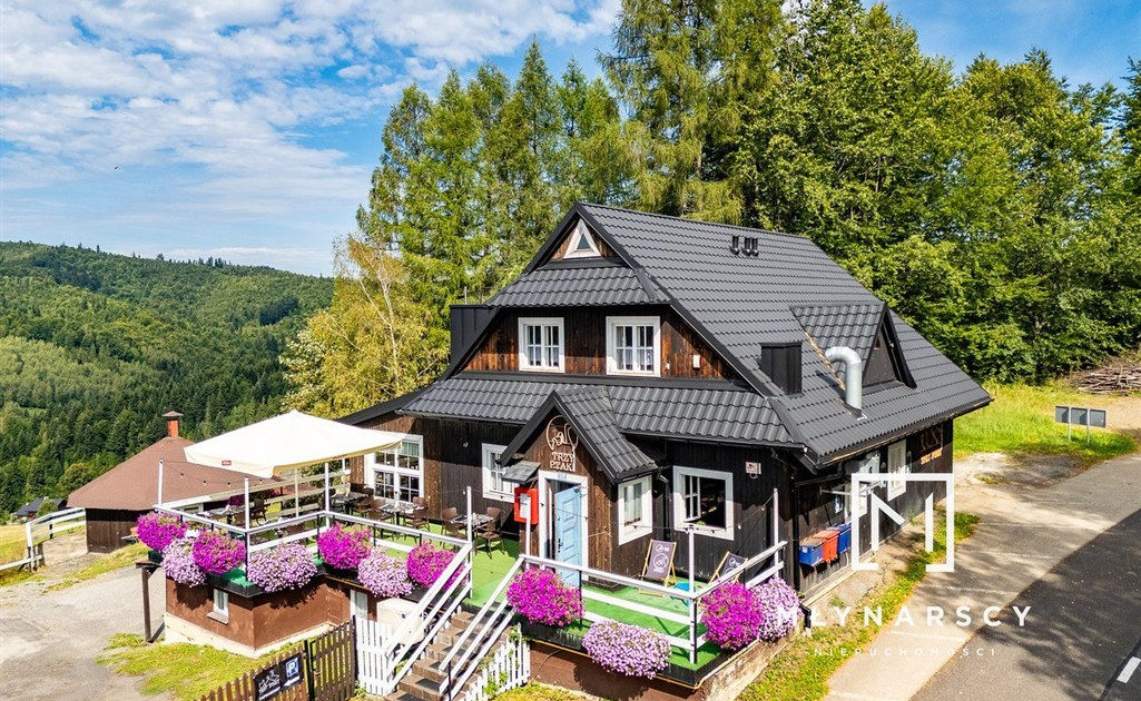 Lokal gastronomiczny na sprzedaż - Widok 2