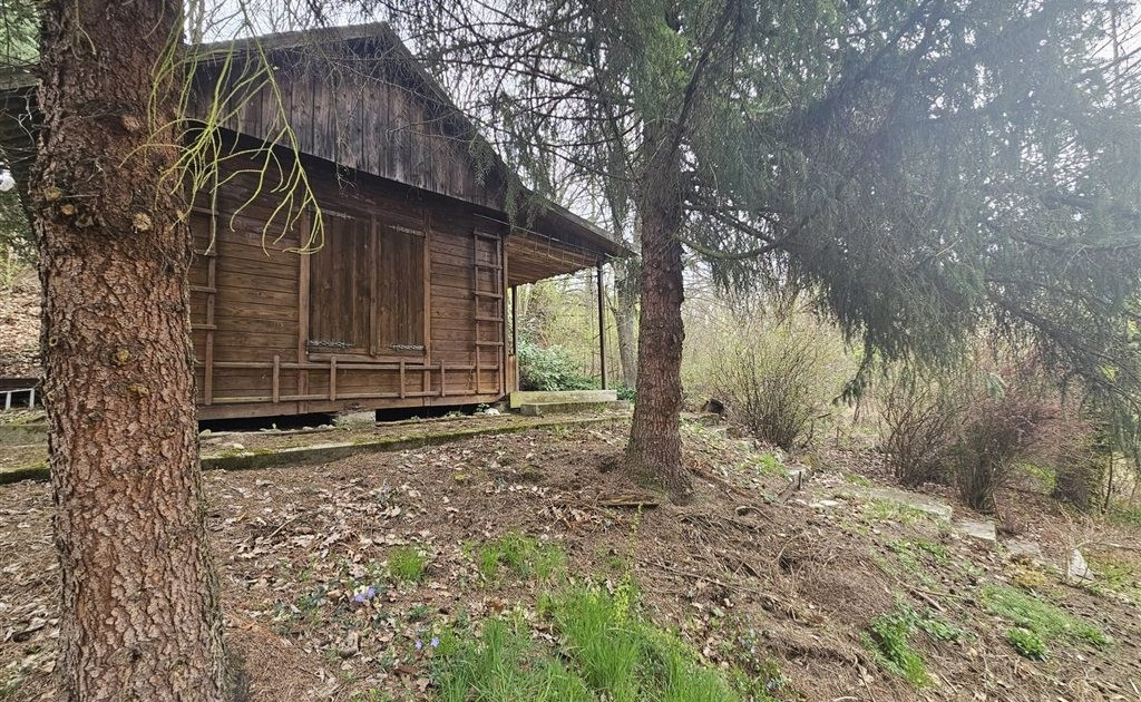 Działka budowlana 11,5a w Głogoczowie - Widok 2