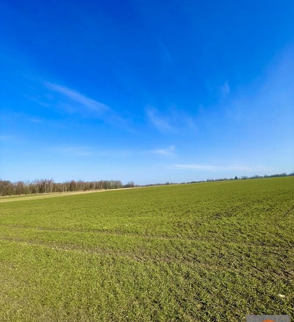 Działka na sprzedaż - Widok 2