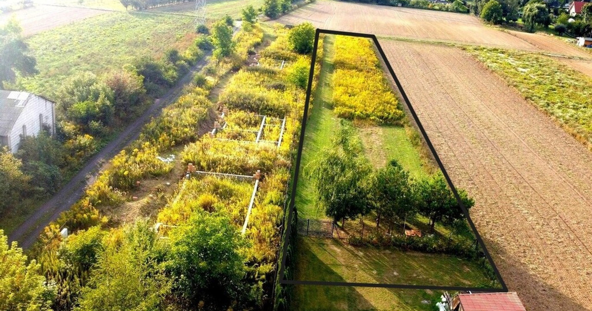 Działka na sprzedaż - Widok 2