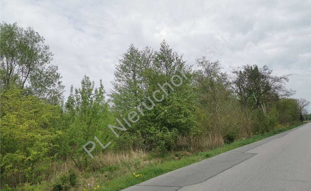 Działka na sprzedaż - Widok 2