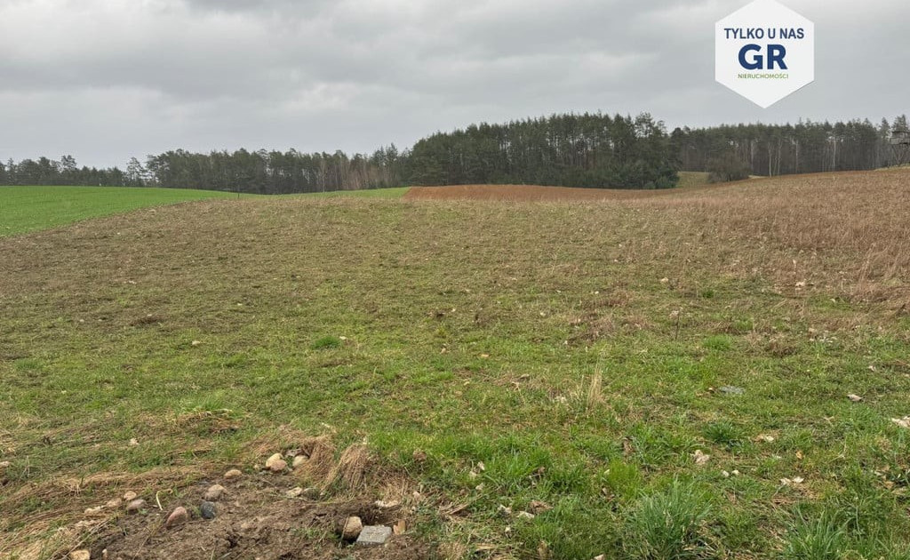 Działka na sprzedaż - Widok 2
