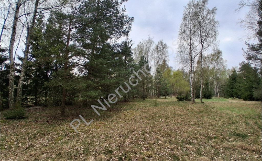 Działka na sprzedaż - Widok 2