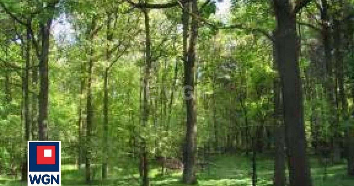 Działka na sprzedaż - Widok 2
