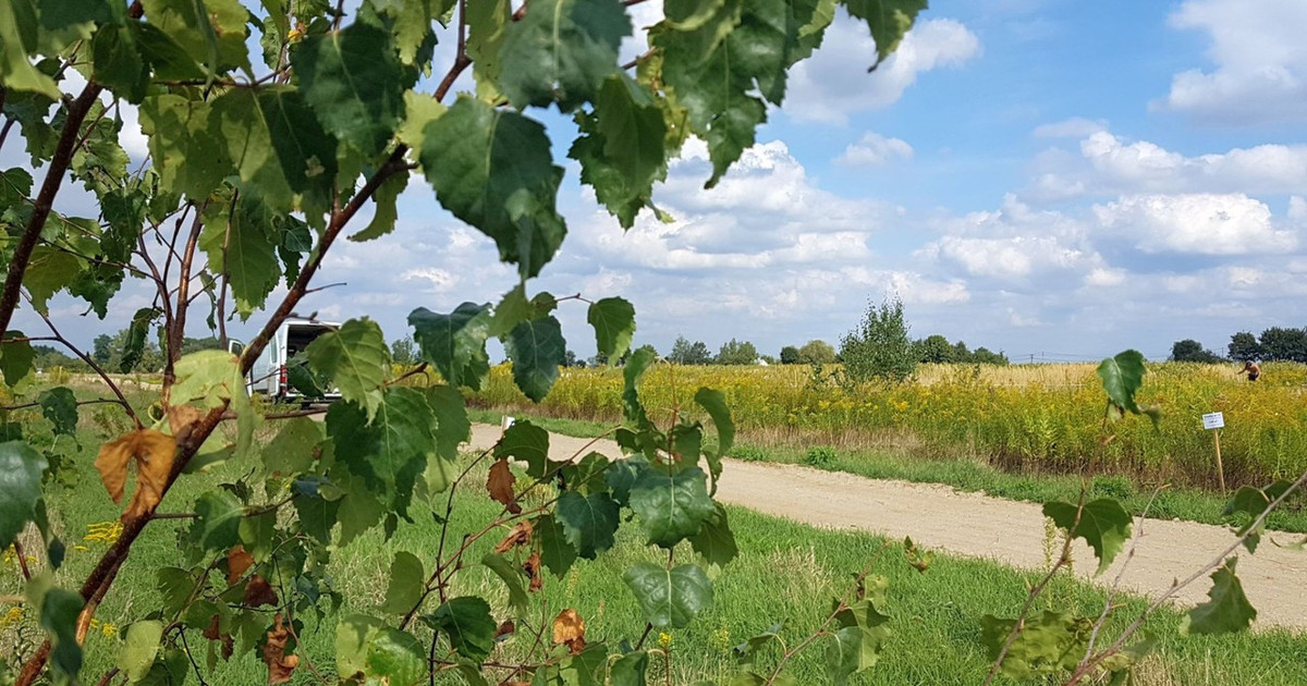 Działka na sprzedaż - Widok 2