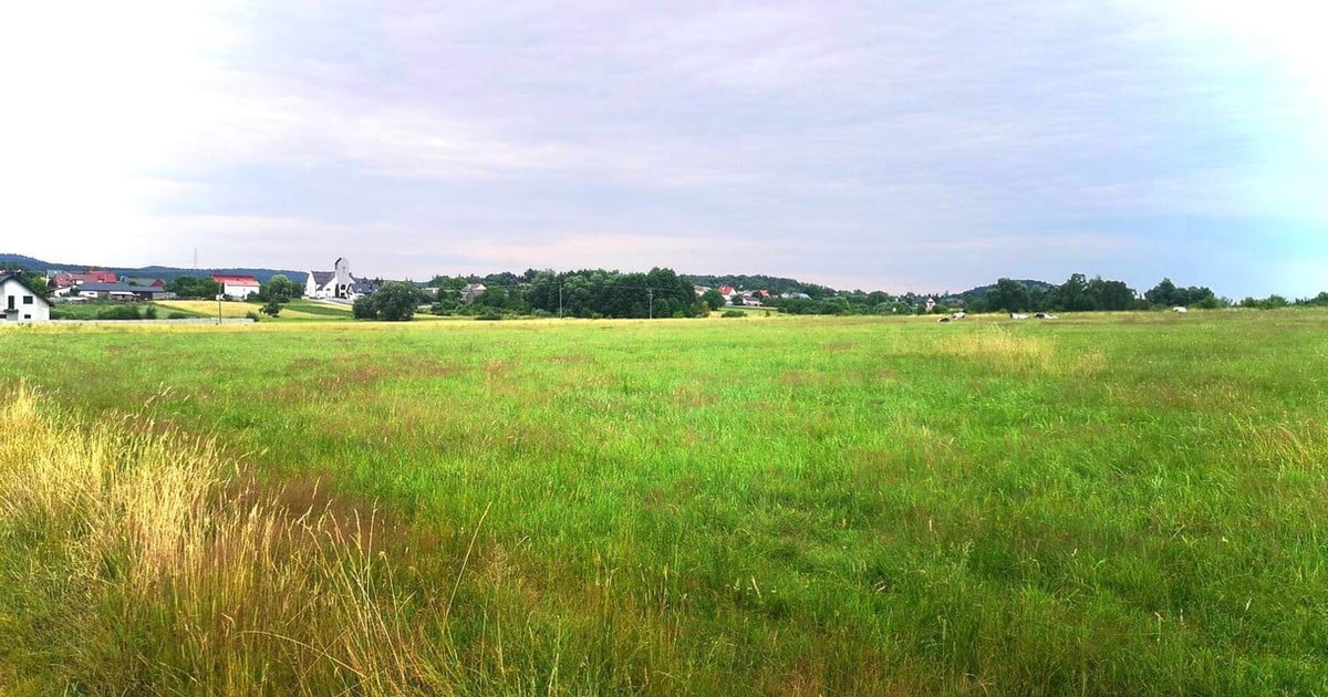 Działka na sprzedaż - Widok 2