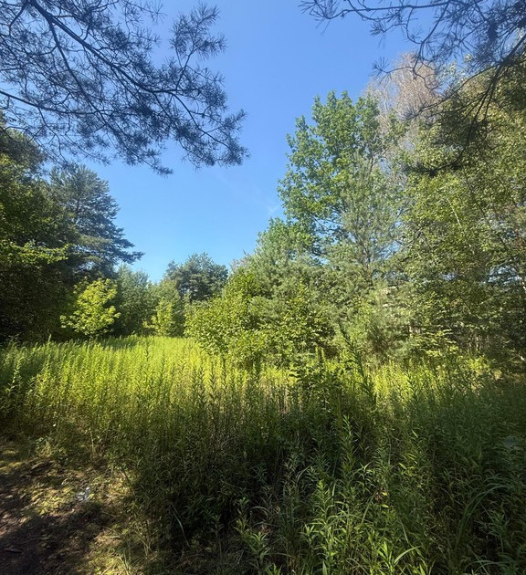 Działka na sprzedaż - Widok 2