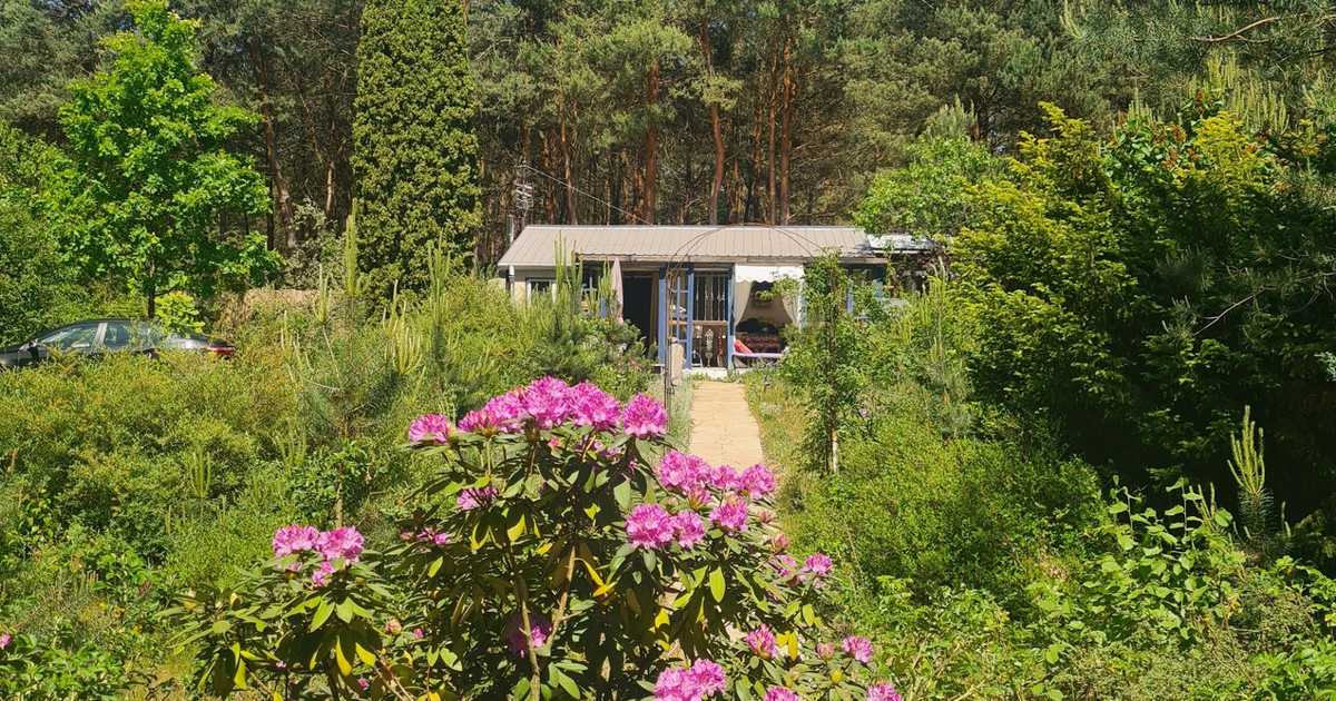 Działka na sprzedaż - Widok 2