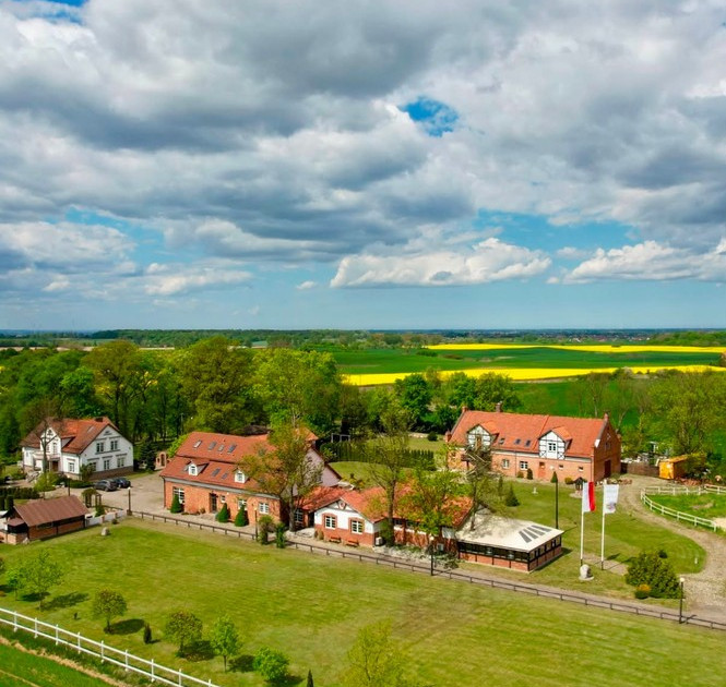 Lokal handlowy, usługowy na sprzedaż - Widok 2