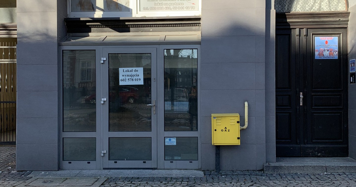 Lokal handlowy, usługowy do wynajęcia - Widok 2
