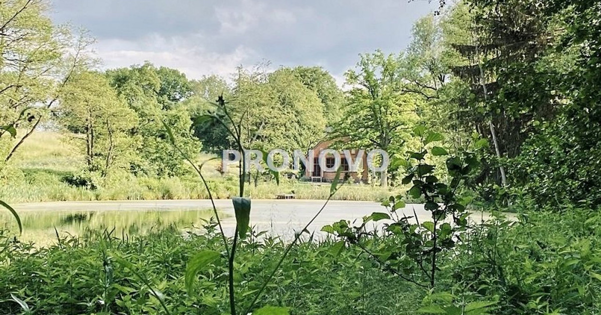Dom – Złocieniec - Widok 2