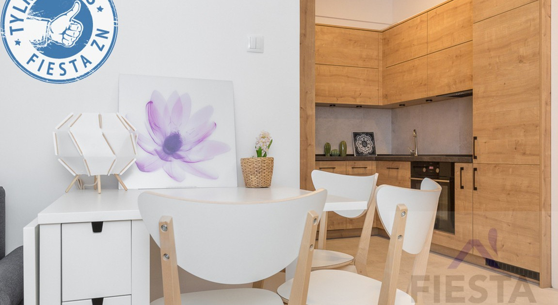 Apartment in Wola - Widok 2