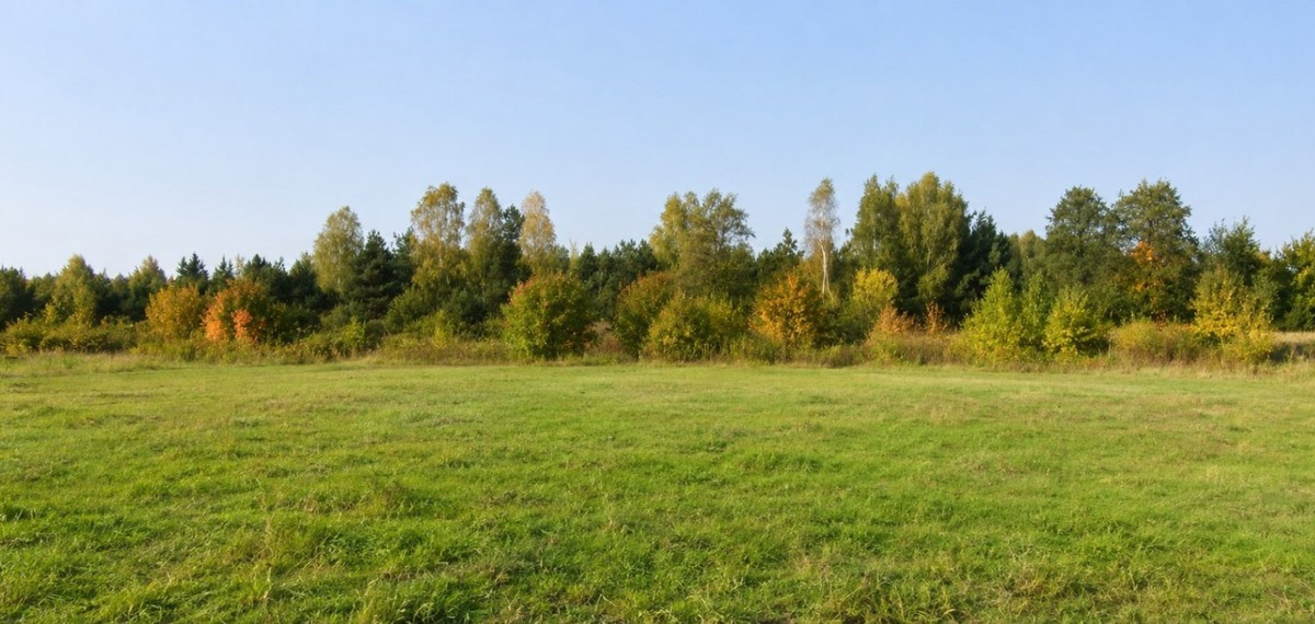Działka na sprzedaż - Widok 2
